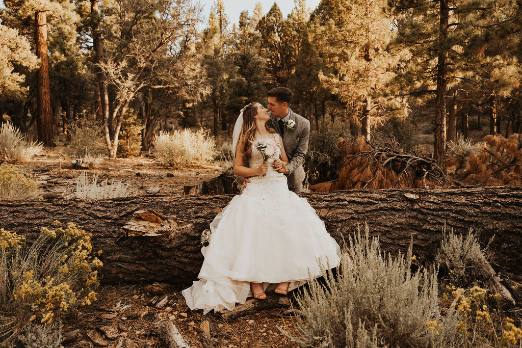 bride and groom poses in the forest