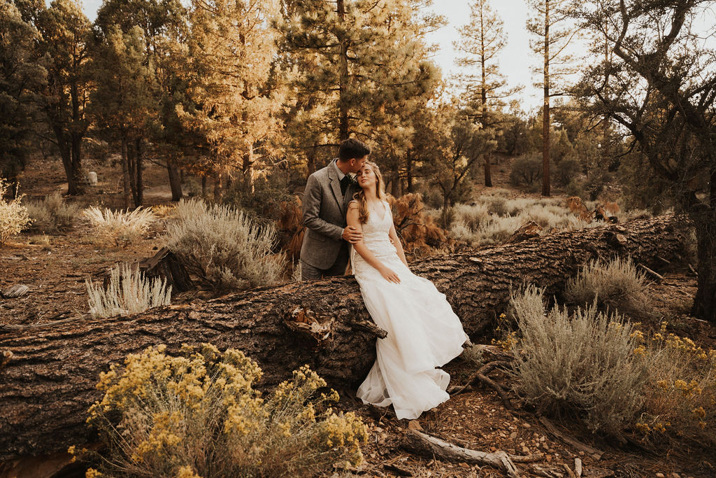 Bride and groom poses in the forest at a big bear wedding