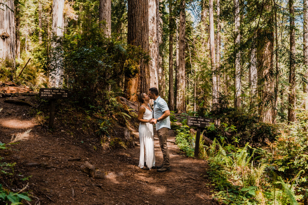 couple eloping in redwoods national park