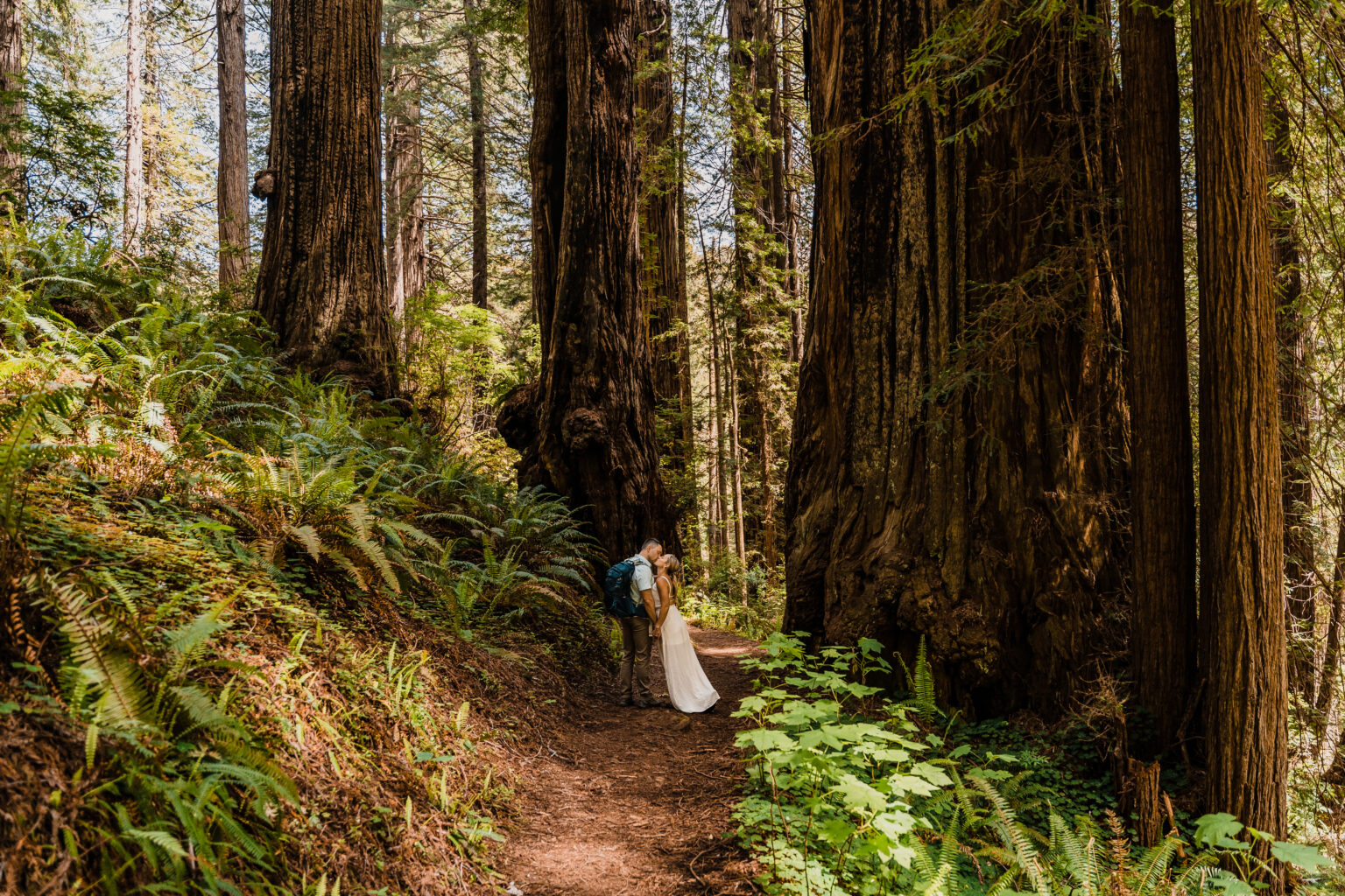 How to Plan an Epic Redwoods Elopement - gabriellarankinphotography.com