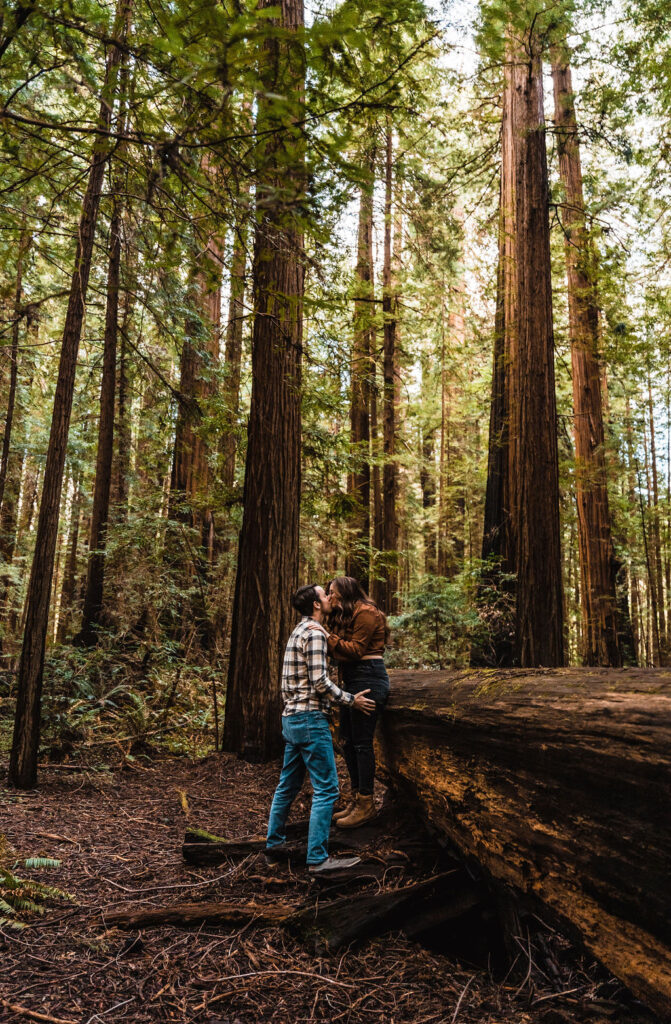humboldt redwood engagement photoshoot