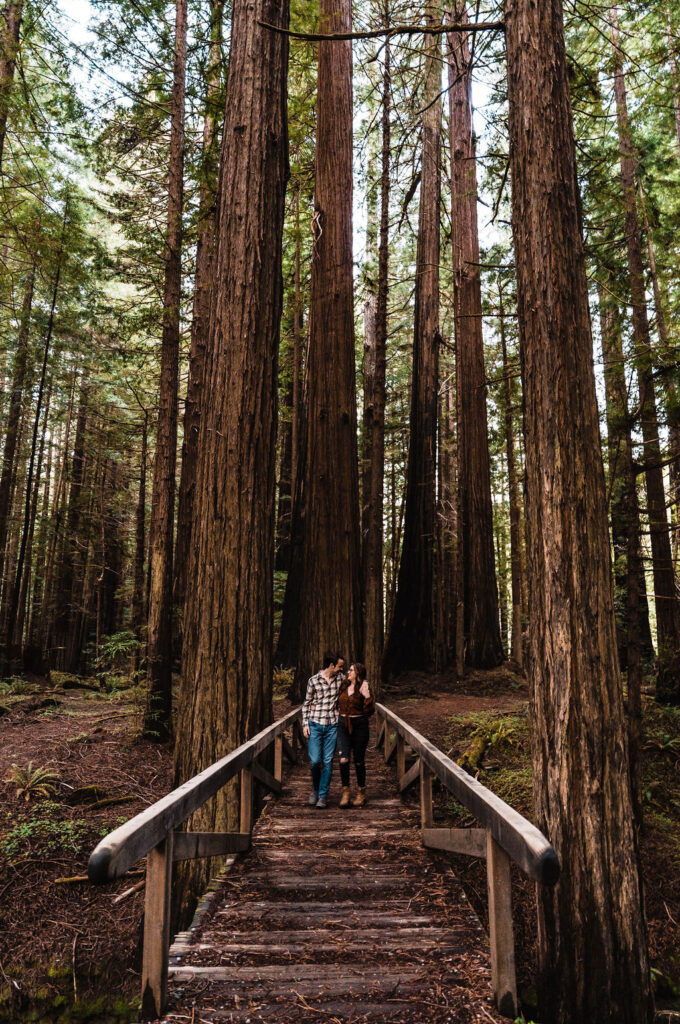 humboldt redwood engagement photoshoot