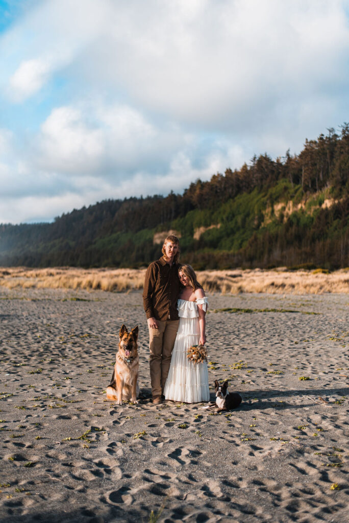 beach elopement with their dogs