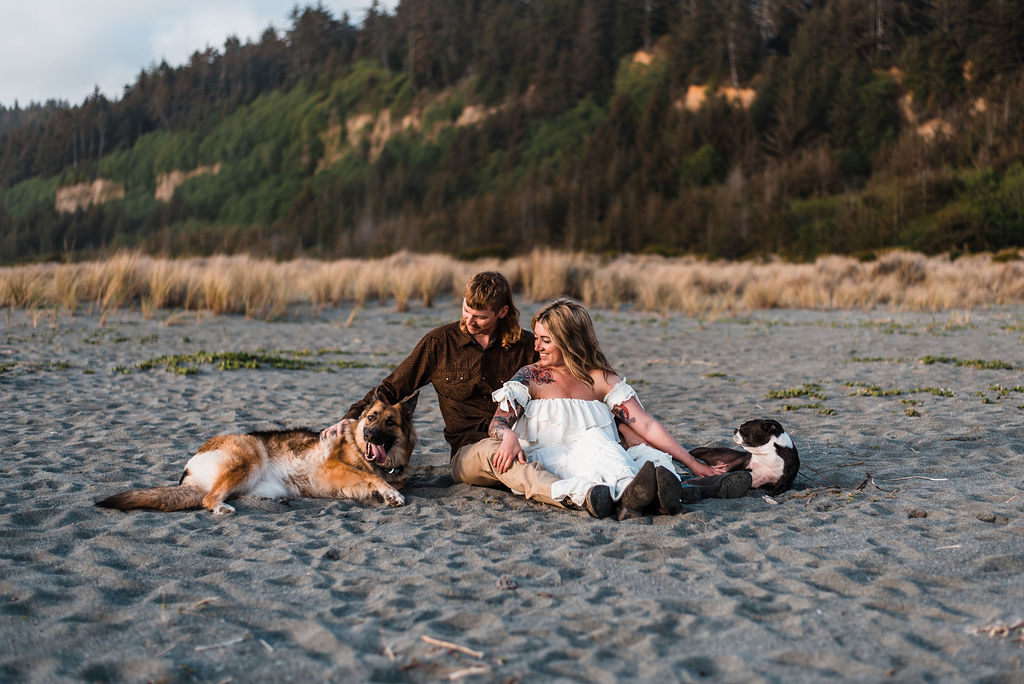 eloping with your dogs on the beach