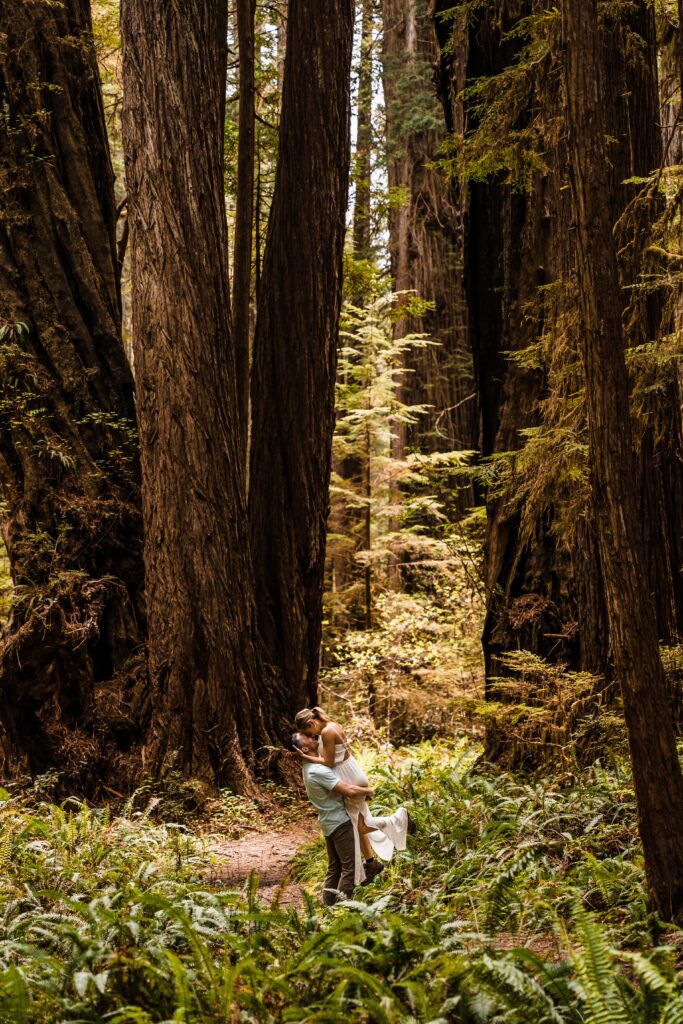 couple kissing at their redwood elopement