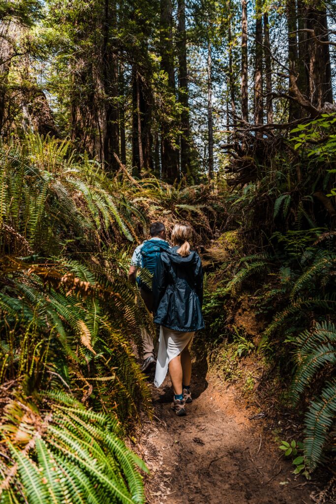 hiking elopement in the redwoods
