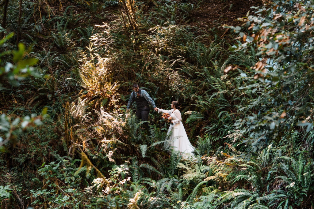 couple hikes through ferns 