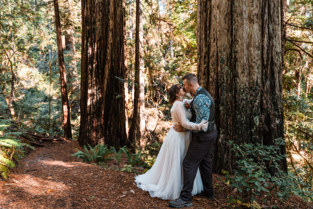 couple shares their first kiss in front of Redwood Trees