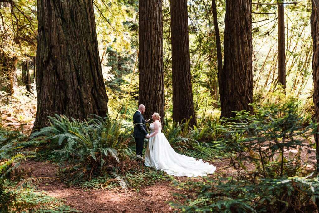 A couple stands in a Redwood Forest holding hands during their wedding ceremony.