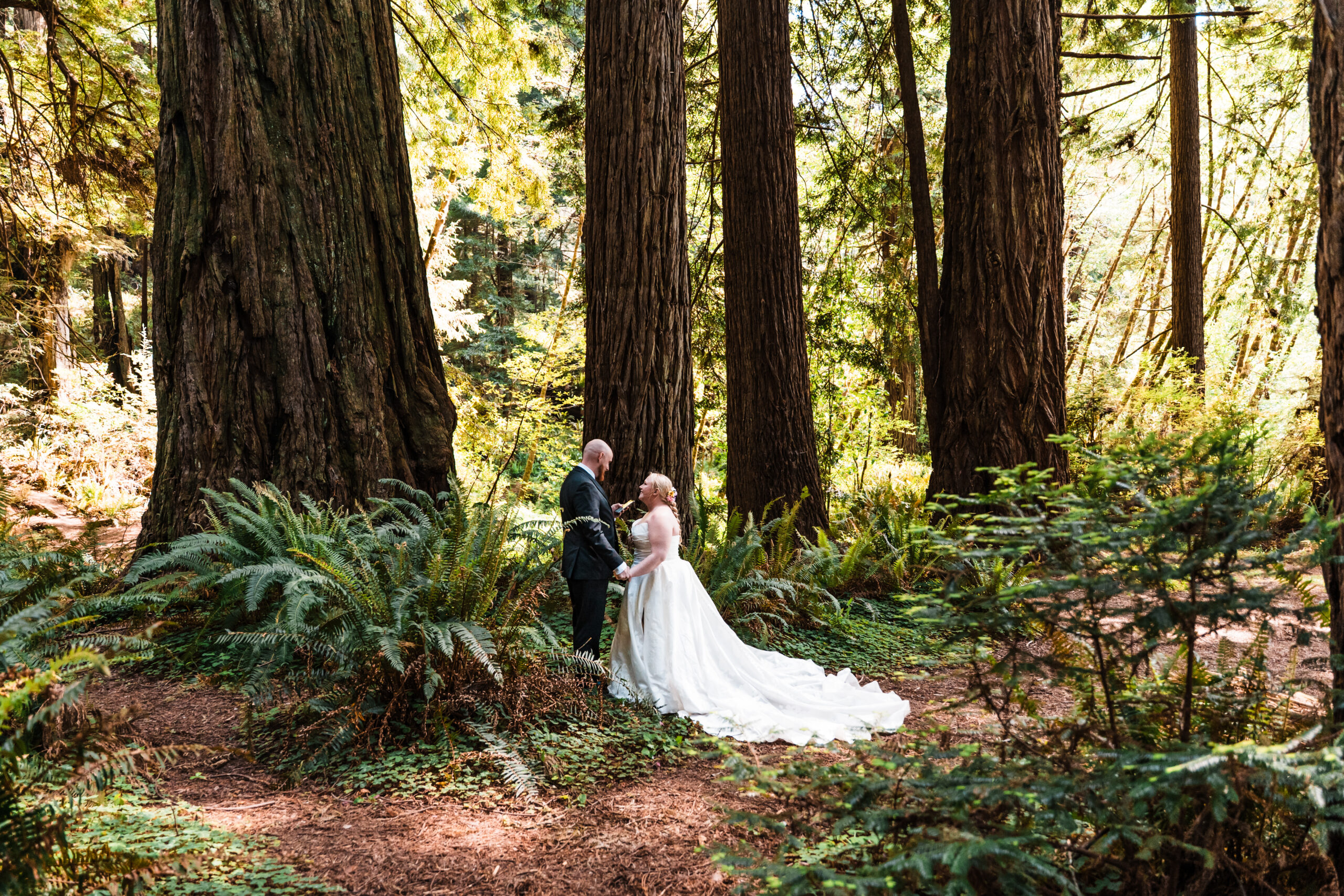 A couple stands in a Redwood Forest holding hands during their wedding ceremony.