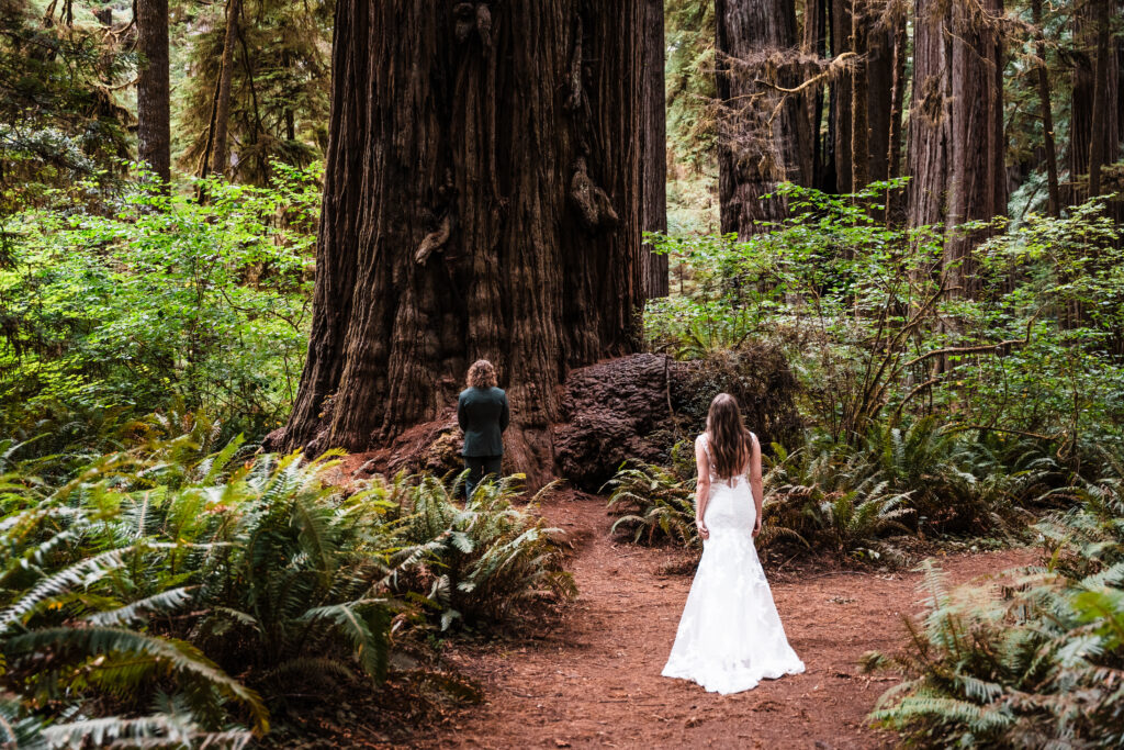 couple waiting for a first look in a redwood forest
