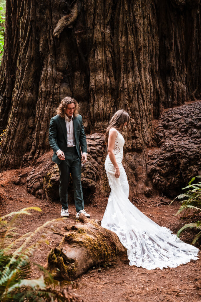 Couple doing a first look in front of a redwood tree
