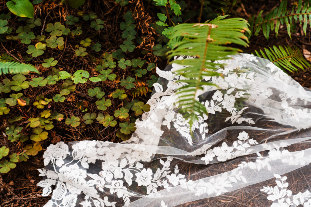 the lace of a wedding dress train on top of ferns and clovers in the redwoods