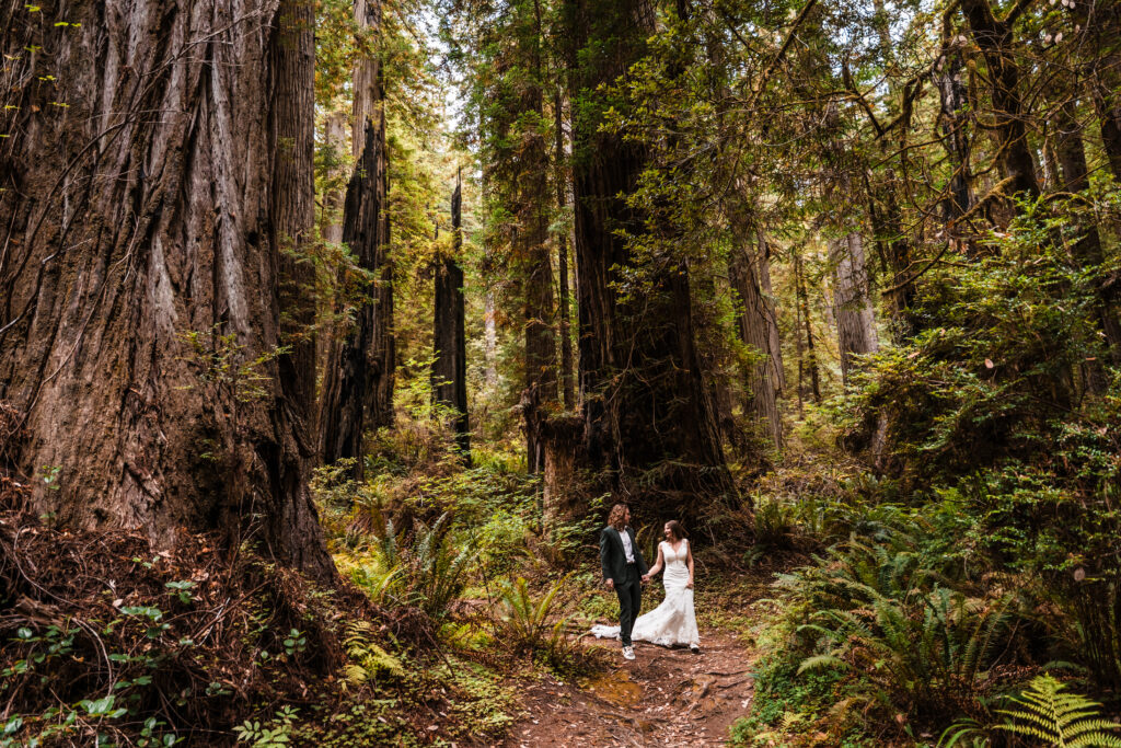 couple hiking in redwood national park