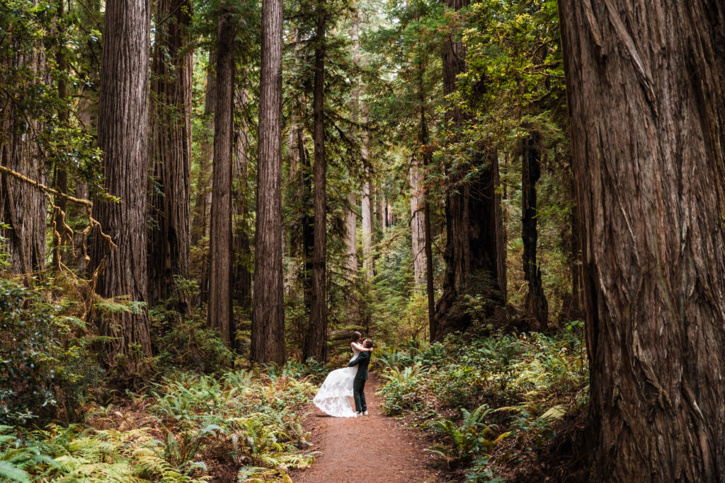 couple dancing under redwood trees