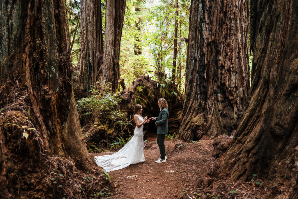 couple exchanging vows surrounded by a redwood forest